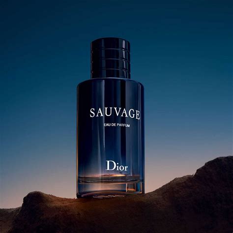 erkek parfüm dior sauvage|sauvage fragrance.